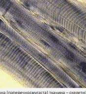 090002v9-7e39-175x192.png