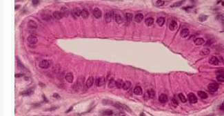 0900032a-814f-325x168.png