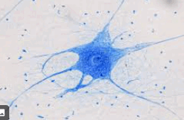 09000334-d631-259x169.png