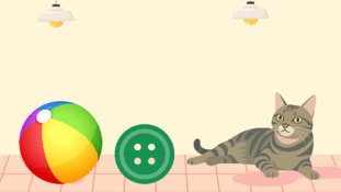 090004oa-d31c-311x175.png