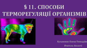 § 11. СПОСОБИ ТЕРМОРЕГУЛЯЦІЇ ОРГАНІЗМІВ