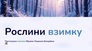 Презентація на тему: " Рослини взимку",  2 клас, предмет Я досліджую світ