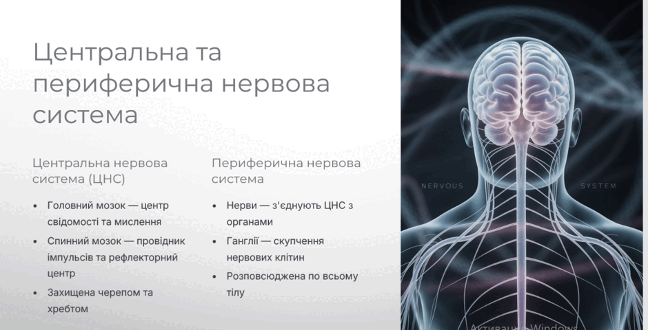 090007sx-e475-940x480.png