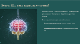 Поняття про соматичну та вегетативну нервову систему, їхні функції