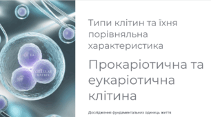Типи клітин та їхня порівняльна характеристика: прокаріотична та еукаріотична клітина.