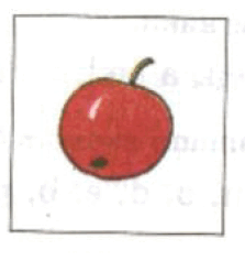 090009b4-03fc-223x237.png