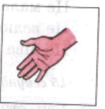 090009cy-2f32-211x219.png