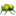 🪲