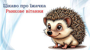 Їжачок