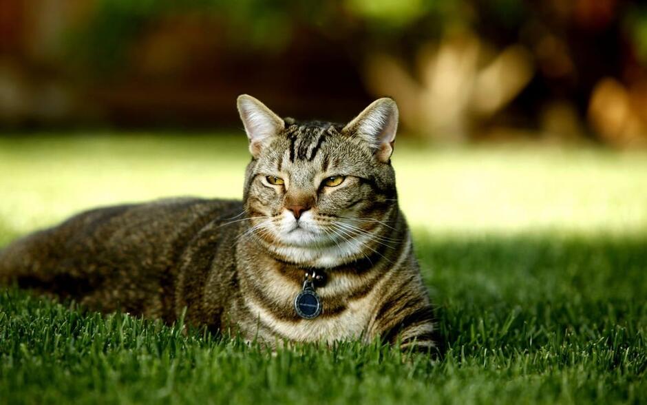 09000blv-5d1d-940x588.jpg