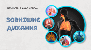 8 клас НУШ. Зовнішнє дихання 