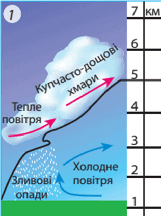 09000f1b-03a2-316x424.png