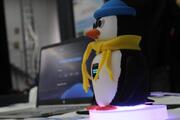 14-річний школяр і його робот-пінгвін завоювали золото в Хорватії
