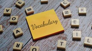 Vocabulary (end-of-year test)