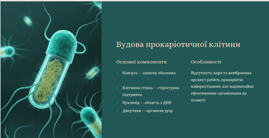 09000iw5-52ce-940x482.png