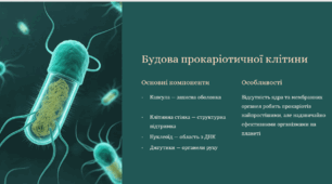 Різноманітність прокаріот