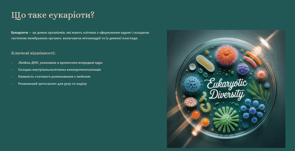 09000iy5-e708-940x483.png