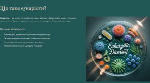 Сучасні погляди на систему еукаріотичних організмів