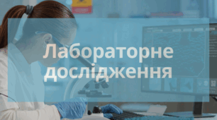 Вивчення будови головного мозку людини