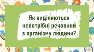 Як виділяються непотрібні речовини з організму людини?
