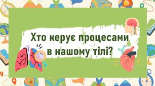 Хто керує процесами в нашому тілі?
