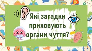 Які загадки приховують органи чуття?