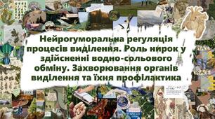 Нейрогуморальна регуляція процесів виділення. Роль нирок у здійсненні водно-сольового обміну. Захворювання органів виділення та їхня профілактика