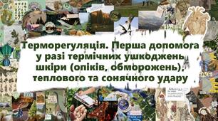 Терморегуляція. Перша допомога у разі термічних ушкоджень шкіри (опіків, обморожень), теплового та сонячного ударуТерморегуляція. Перша допомога у разі термічних ушкоджень шкіри (опіків, обморожень), теплового та сонячного удару