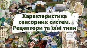 Характеристика сенсорних систем. Рецептори та їхні типи