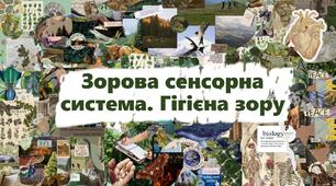 Зорова сенсорна система. Гігієна зору