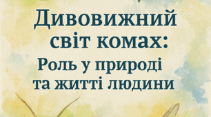 Конспект позаурочного заняття з біології на тему «Дивовижний світ комах: роль у природі та житті людини» для 6-8 класів (повний комплект).
