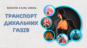 8 клас НУШ. Транспорт дихальних газів 