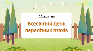 Презентація до Всесвітнього дня перелітних птахів
