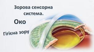 Зорова сенсорна система. Будова ока. Акомодація. Сприйняття простору та кольору. Порушення зору. Гігієна зору