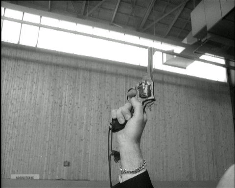 09000n3v-2bbb-480x384.gif