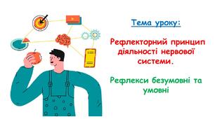 Презентація з біології 8 клас НУШ: Рефлекторний принцип діяльності нервової системи. Рефлекси безумовні та умовні