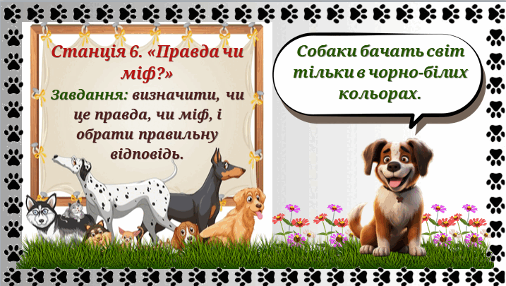 09000pzm-b45d-717x405.png