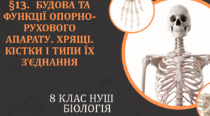 Презентація  до уроку  «§ 13. Будова та функції опорно-рухового апарату. Хрящі. Кістки і типи їх з'єднання» 