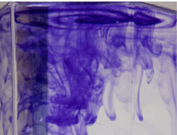 09000tih-4697-256x196.png