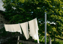 09000tjc-2ed1-260x183.png