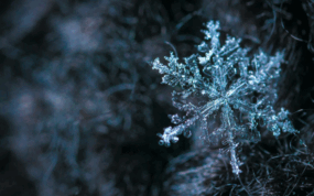 09000tkm-f0e7-285x178.png