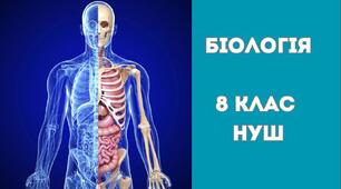 Комплексна підсумкова робота за І семестр. Діагностична робота За групами результатів