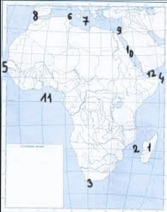 09000u3x-7968-567x720.png
