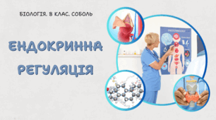 8 клас НУШ. Ендокринна регуляція 