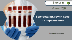 Еритроцити, групи крові та переливання. 8 клас. НУШ