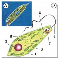 09000w9v-487a-241x237.png