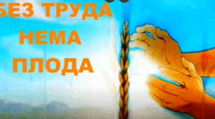 Без труда нема плода