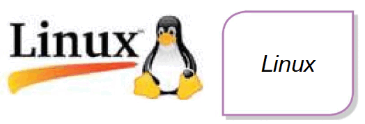 09000xev-7476-524x178.png