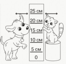 09000xo1-4f39-223x219.png