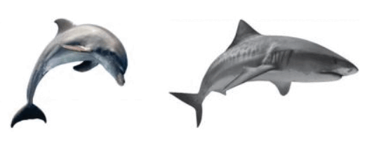 09000y0f-e3ee-530x202.png